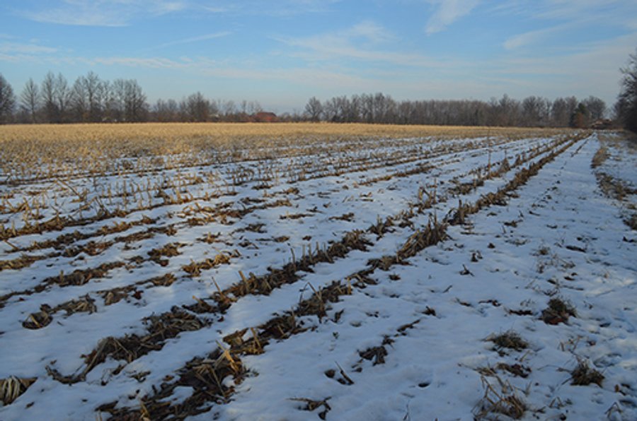 FARMLAND AUCTION, 60+/- Acres in 6 Tracts ranging from 4 to 20 acres & in combinations!